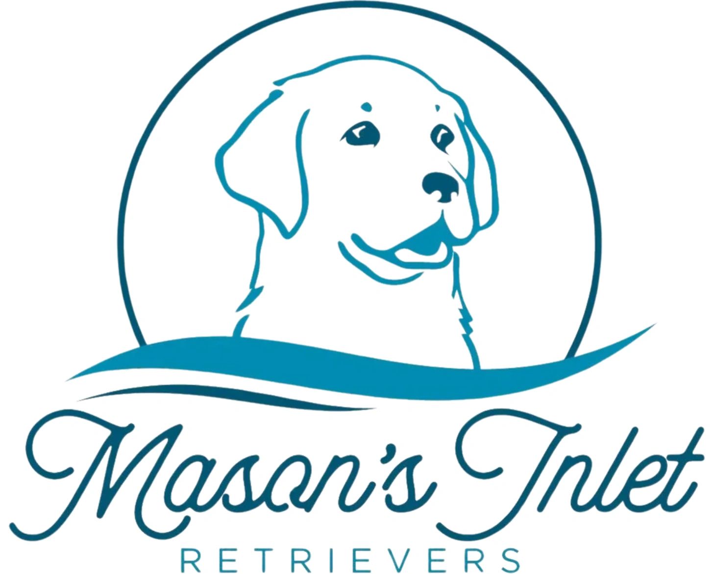 Mason's Inlet Labradors